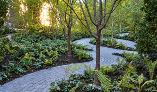 Curved garden walk beneath established trees